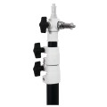 Statyw studyjny oświetleniowy PANDA 330cm