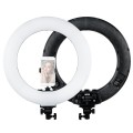 Lampa pierścieniowa LED RING MITOYA RL480L 60W ze statywem PENGUIN