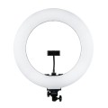 Lampa pierścieniowa LED RING MITOYA RL480L 60W ze statywem PENGUIN
