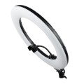 Lampa pierścieniowa LED RING MITOYA RL480L 60W ze statywem PENGUIN